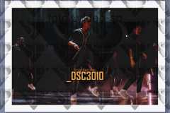 DSC3010