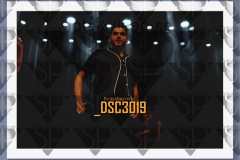 DSC3019