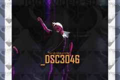 DSC3046