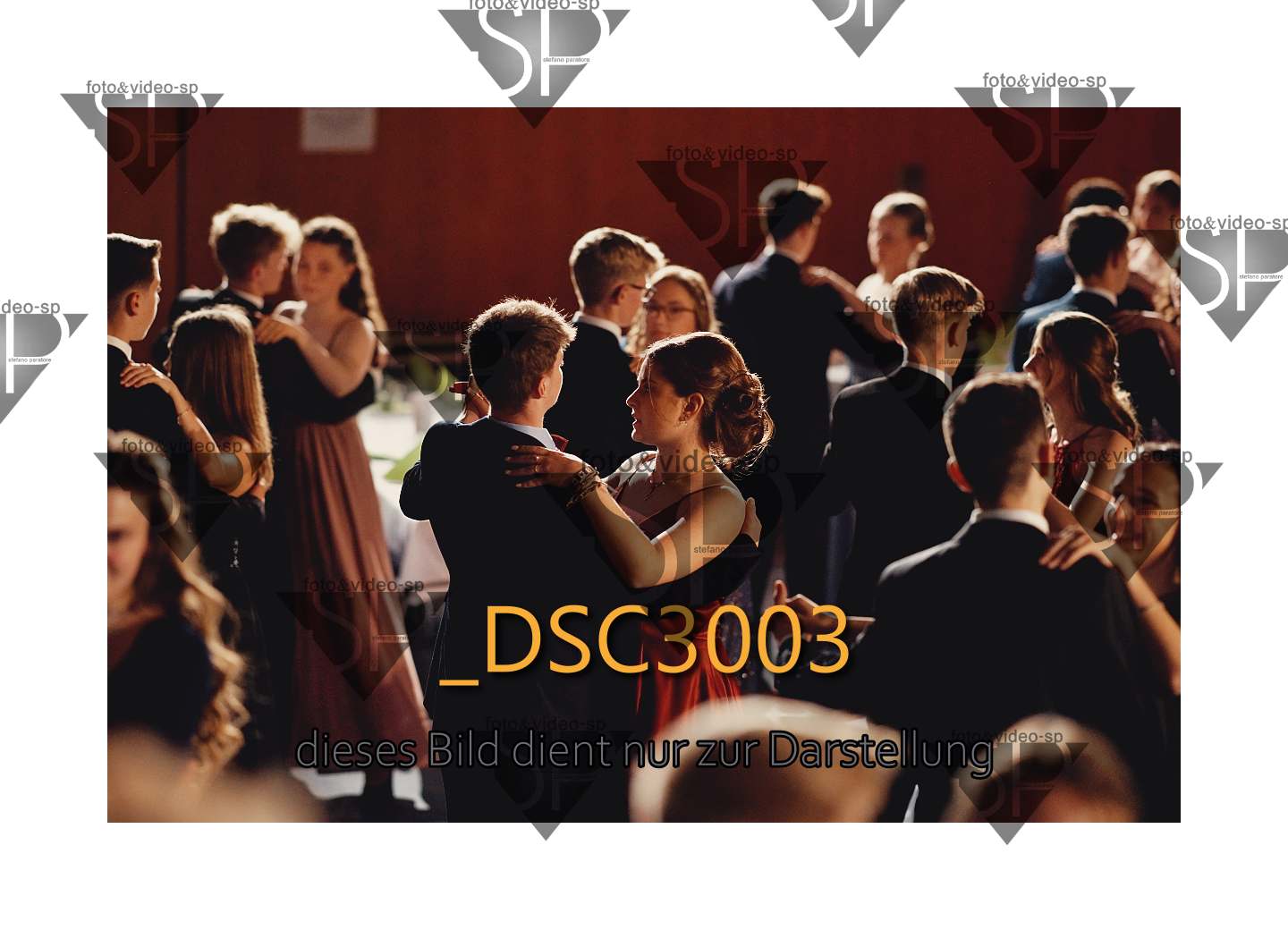 DSC3003