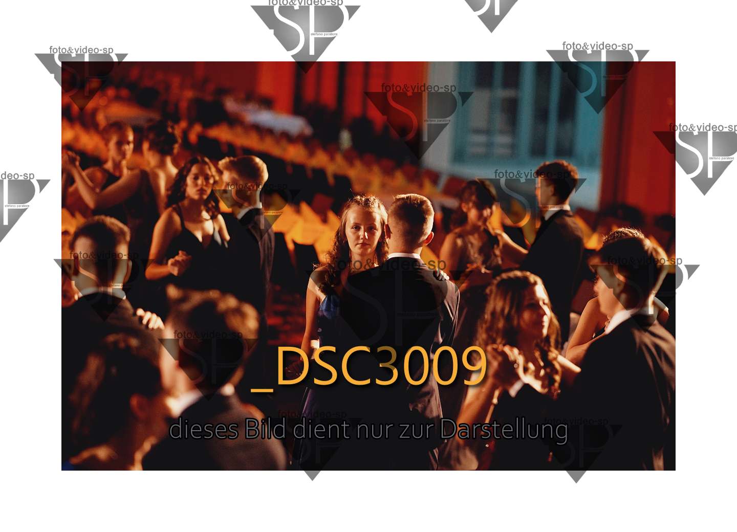 DSC3009