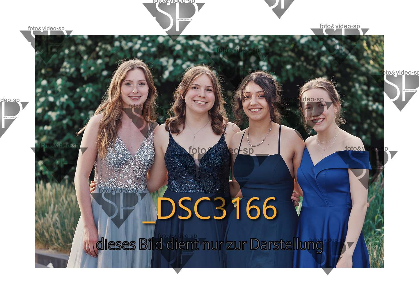DSC3166