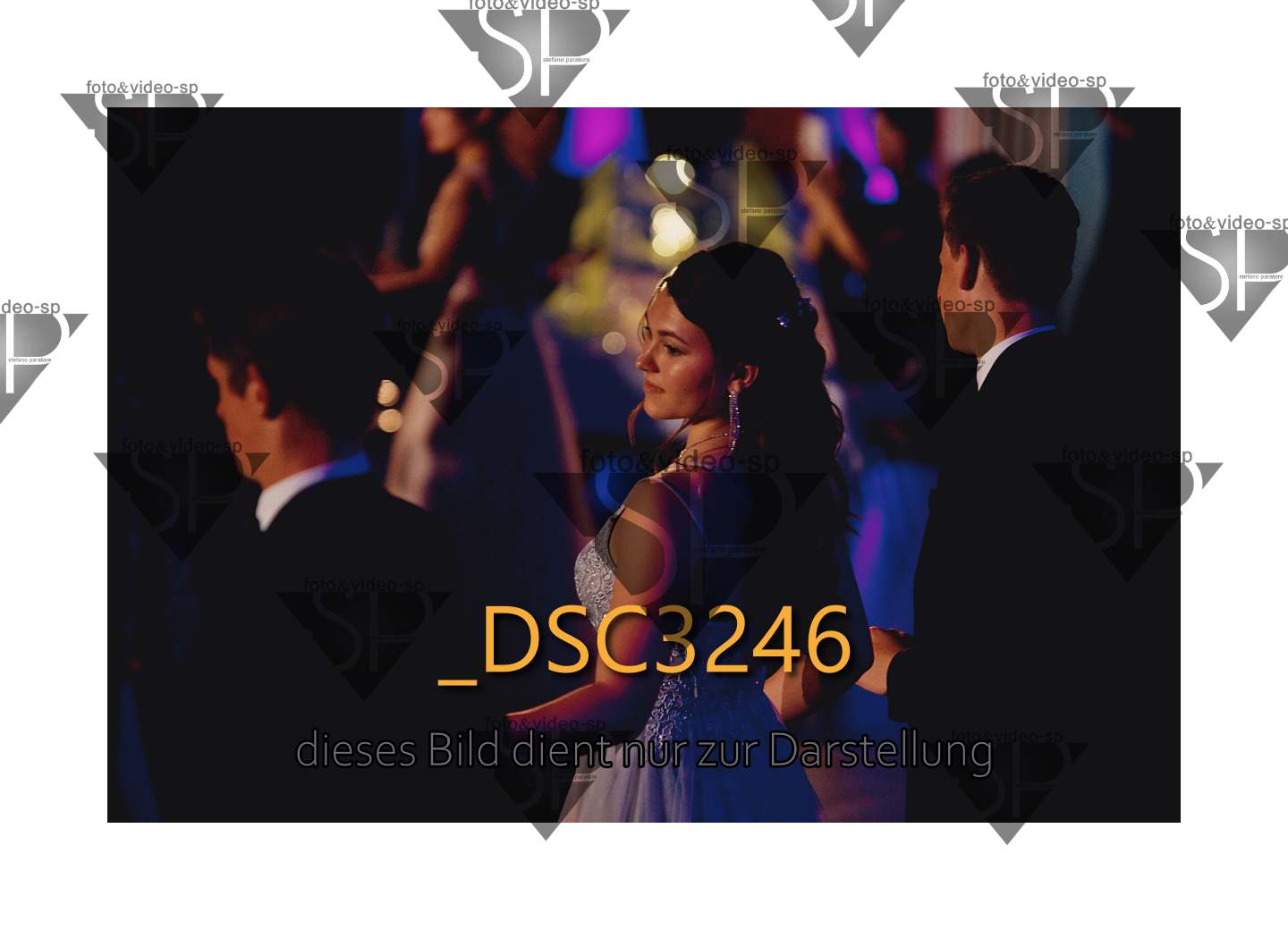 DSC3246