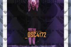 DSC4172