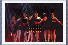 DSC1805