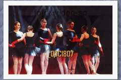 DSC1807