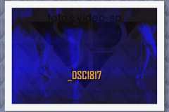 DSC1817