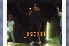 DSC1990