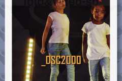 DSC2000