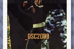 DSC2009