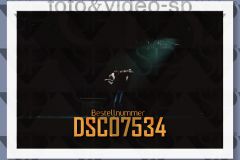 DSC07534