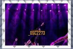 DSC2273