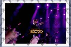 DSC2313
