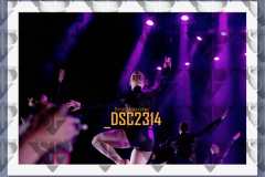 DSC2314