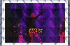 DSC4187