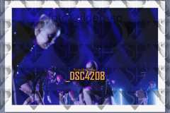 DSC4208