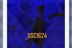 DSC1624