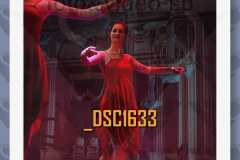 DSC1633
