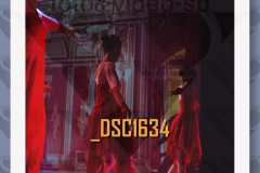 DSC1634