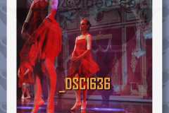 DSC1636