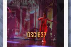 DSC1637
