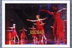 DSC1640