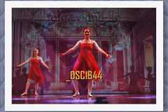DSC1644