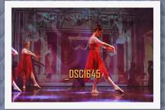 DSC1645