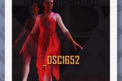 DSC1652