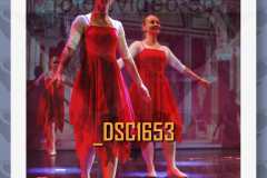 DSC1653