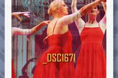 DSC1671