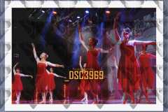 DSC3969