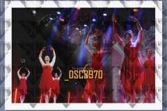 DSC3970