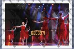 DSC3971