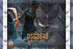 DSC3648