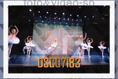 DSC07183