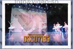 DSC07195
