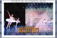 DSC07197