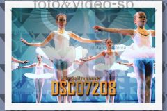 DSC07208