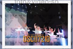 DSC07210