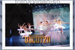 DSC07211