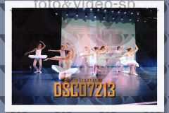 DSC07213