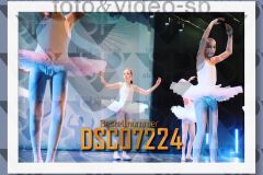 DSC07224