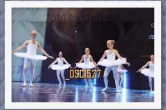 DSC1527
