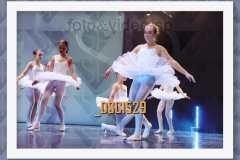 DSC1529