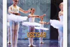 DSC1549