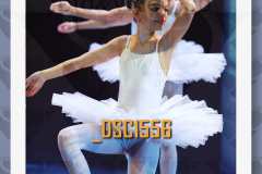 DSC1556