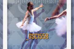 DSC1558