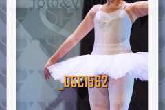 DSC1562