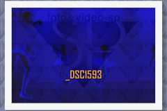 DSC1593